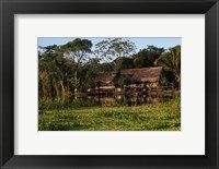 Framed Scenes along the Amazon River in Peru