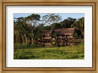 Framed Scenes along the Amazon River in Peru