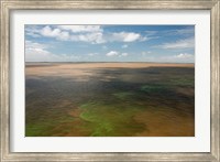 Framed Brazil, Amazon River, Algae bloom