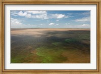 Framed Brazil, Amazon River, Algae bloom