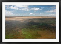 Framed Brazil, Amazon River, Algae bloom