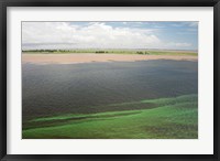 Framed Brazil, Amazon River, Santarem Meeting of the Waters Algae bloom