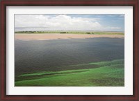 Framed Brazil, Amazon River, Santarem Meeting of the Waters Algae bloom