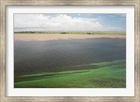 Framed Brazil, Amazon River, Santarem Meeting of the Waters Algae bloom