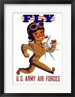 Framed Fly US Army Air Forces