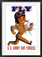 Framed Fly US Army Air Forces