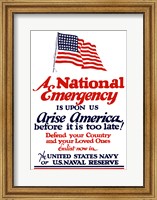 Framed National emergency, Arise America