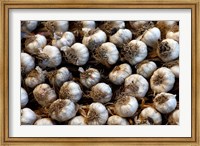 Framed Cuba, Santa Clara Garlic Cloves for sale in a local street market