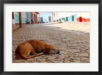 Framed Cuba, Trinidad Dog sleeping in the street