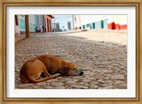 Framed Cuba, Trinidad Dog sleeping in the street