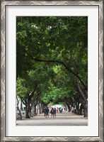 Framed Cuba, Havana, Havana Vieja, Paseo de Marti walkway