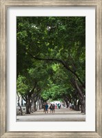 Framed Cuba, Havana, Havana Vieja, Paseo de Marti walkway