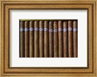 Framed Cuba, Pinar del Rio Province, Cuban Cigars Art Print image
