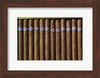 Framed Cuba, Pinar del Rio Province, Cuban Cigars Art Print image