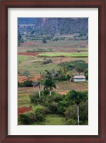 Framed Cuba, Pinar del Rio Province, Vinales Valley