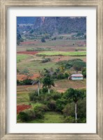 Framed Cuba, Pinar del Rio Province, Vinales Valley
