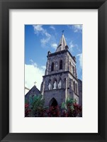 Framed Roseau, Dominica