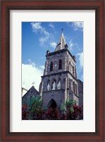 Framed Roseau, Dominica