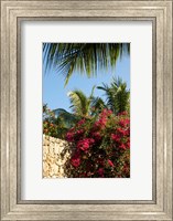 Framed Viva Wyndham Dominicus Beach, Bayahibe, Dominican Republic