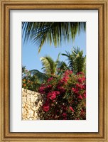 Framed Viva Wyndham Dominicus Beach, Bayahibe, Dominican Republic
