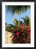 Framed Viva Wyndham Dominicus Beach, Bayahibe, Dominican Republic