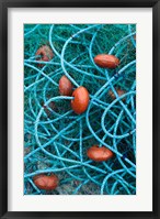 Framed Dominica, Anse de Mai, fishing net