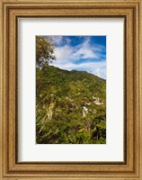 Framed Dominica, Roseau, Grand Bay Area, Petite Savanne