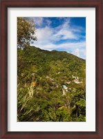 Framed Dominica, Roseau, Grand Bay Area, Petite Savanne