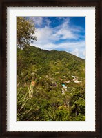 Framed Dominica, Roseau, Grand Bay Area, Petite Savanne