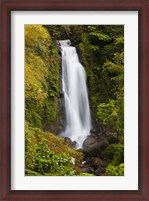 Framed Dominica, Roseau, Trafalgar Waterfalls