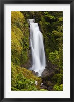 Framed Dominica, Roseau, Trafalgar Waterfalls