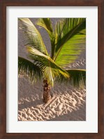 Framed Palm tree, Bavaro Beach, Higuey, Punta Cana, Dominican Republic