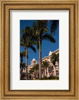 Framed Palm tree, Riu Palace, Bavaro Beach, Higuey, Punta Cana, Dominican Republic