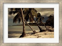 Framed Playa Rincon beach, Las Galeras, Samana Peninsula, Dominican Republic