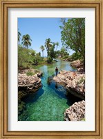 Framed Alligator Hole, Black River Town, Jamaica, Caribbean