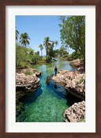 Framed Alligator Hole, Black River Town, Jamaica, Caribbean