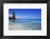 Framed Beach and Palms in Sainte Anne, Guadeloupe