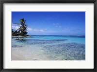 Framed Beach and Palms in Sainte Anne, Guadeloupe