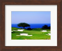 Framed White Witch Golf Course, Montego Bay, Jamaica