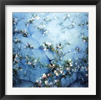 Framed Apple Blossoms