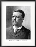 Framed Younger President Theodore Roosevelt