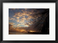 Framed USVI, StThomas, Lindergh Bay, Emerald Beach