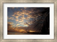 Framed USVI, StThomas, Lindergh Bay, Emerald Beach