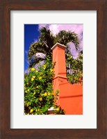 Framed Charlotte Amalie, St Thomas, Caribbean