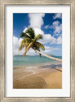 Framed Coconut Grove Beach, Cades Bay, St Kitts, Caribbean