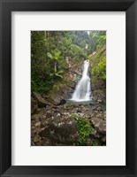 Framed Puerto Rico, El Yunque, La Mina Waterfalls