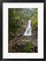 Framed Puerto Rico, El Yunque, La Mina Waterfalls