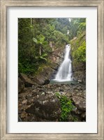 Framed Puerto Rico, El Yunque, La Mina Waterfalls