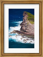 Framed Rabbit Island, Caravelle Peninsula, Reserve Naturelle De La Caravelle, Martinique