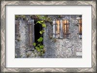 Framed Tropical Plants, St Pierre, Martinique, French Antilles, West Indies